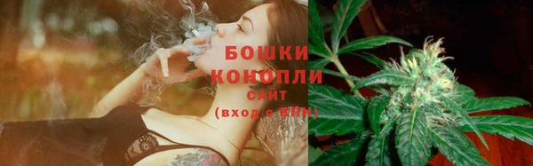 ГАЛЛЮЦИНОГЕННЫЕ ГРИБЫ Абдулино