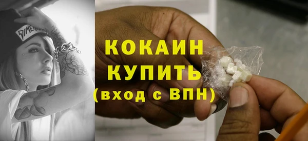 твердый Алексин