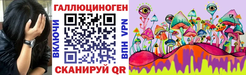 закладка  Сарапул  Псилоцибиновые грибы мухоморы 